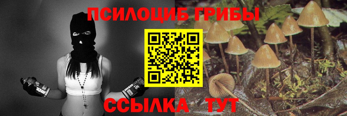 продажа наркотиков  Вход с VPN  Арзамас  Галлюциногенные грибы Psilocybe 